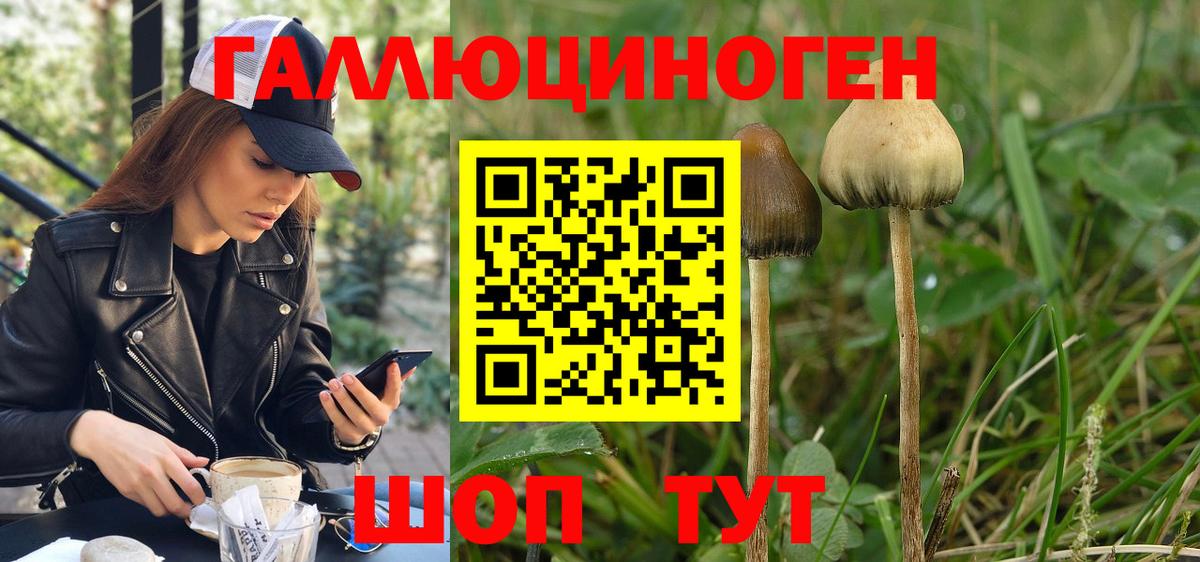 Галлюциногенные грибы MAGIC MUSHROOMS  Галлюциногенные грибы GOLDEN TEACHER  Вход с VPN  Котовск 